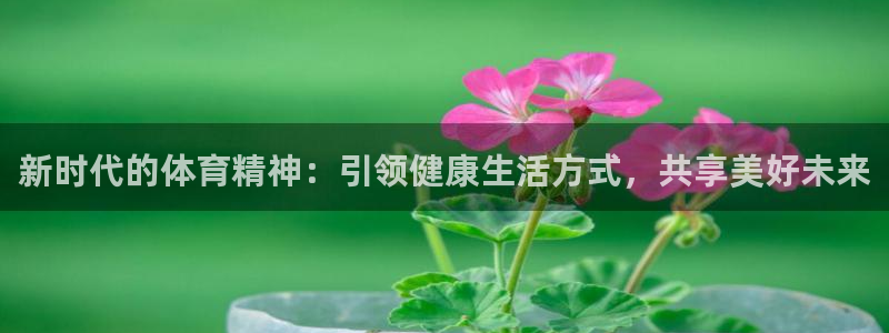 哈哈体育十年