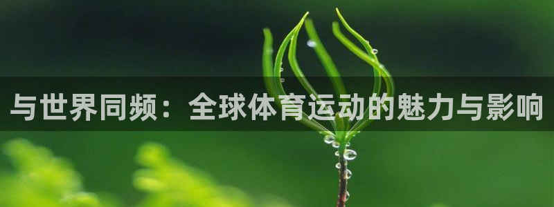 哈哈体育