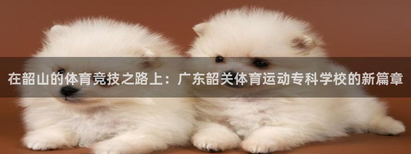 哈哈体育十年