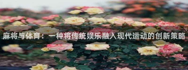 哈哈体育下载