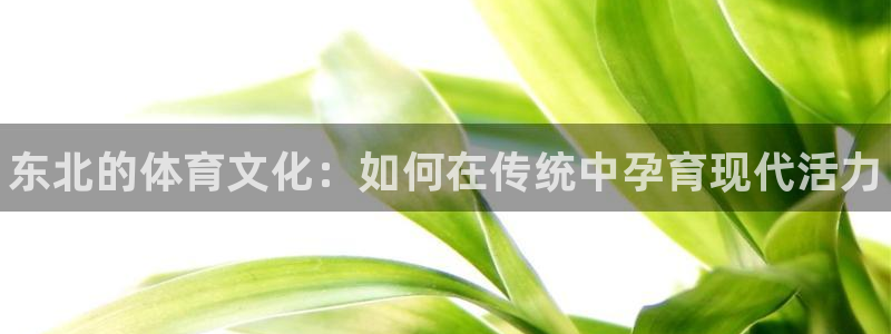 哈哈体育