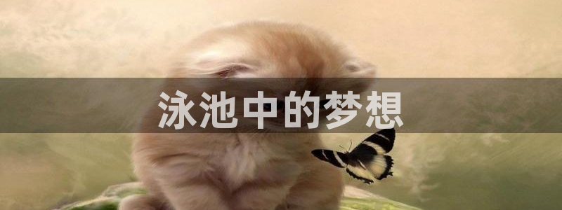 哈哈体育十年