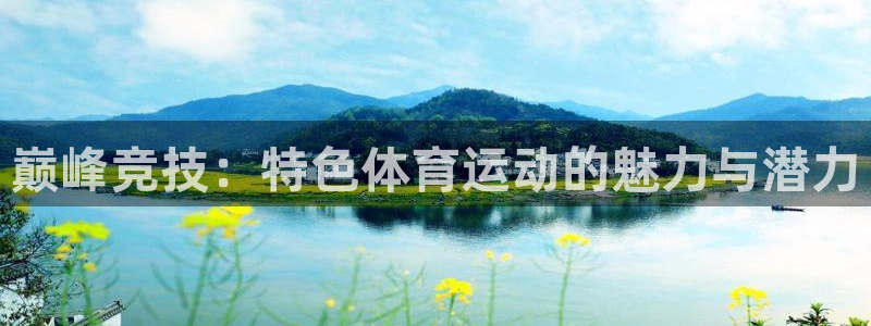 哈哈体育十年