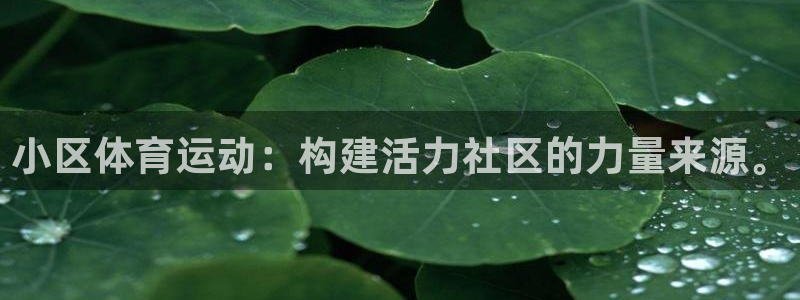 哈哈体育下载