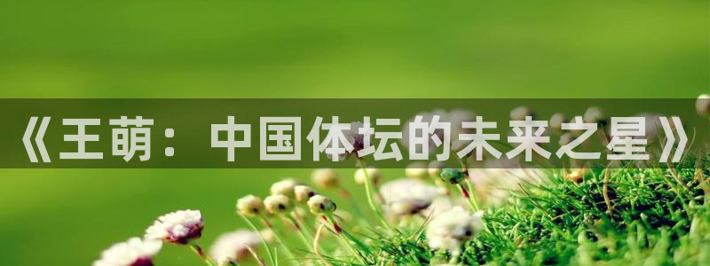 哈哈体育