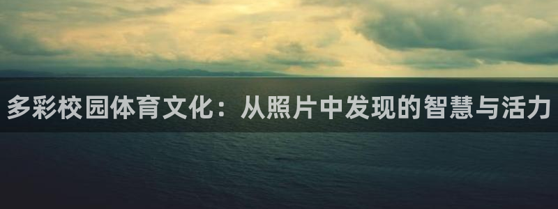 哈哈体育下载