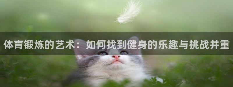 哈哈体育十年