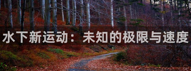 哈哈体育