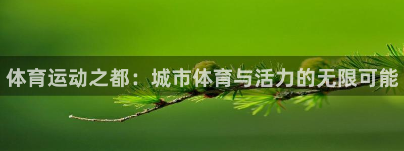 哈哈体育十年