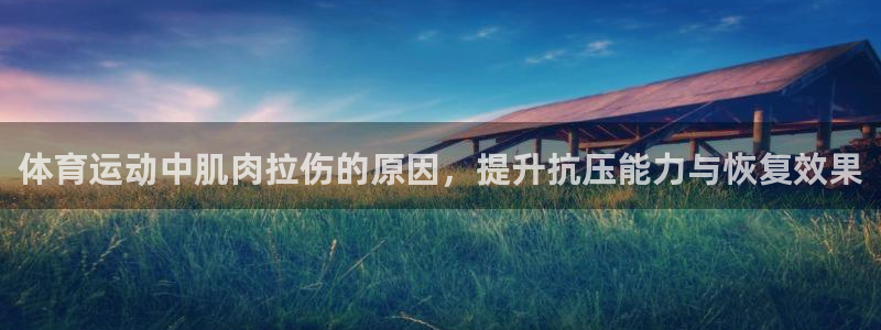 哈哈体育十年