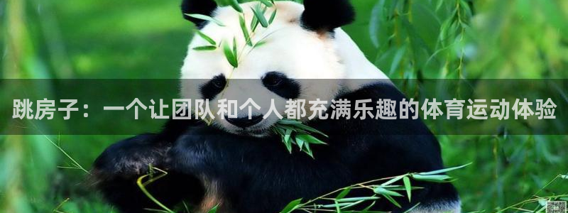 哈哈体育下载