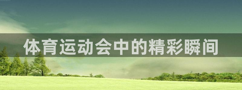 哈哈体育