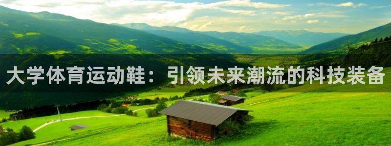 哈哈体育下载