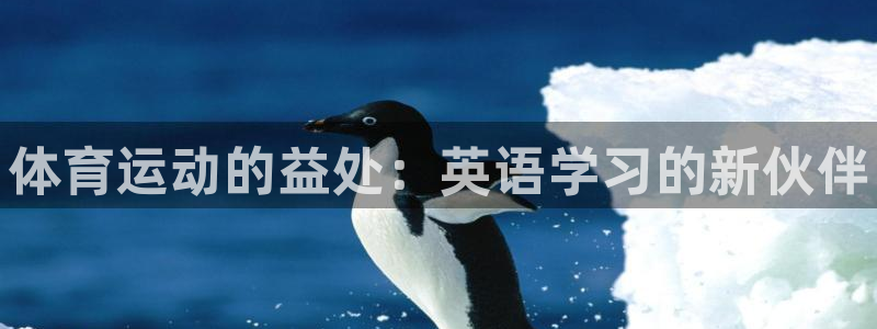 哈哈体育下载