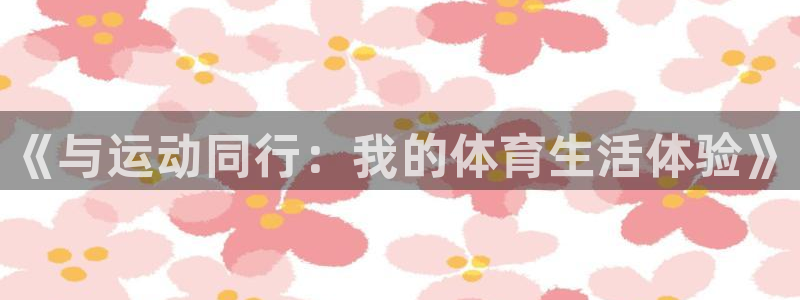 哈哈体育十年