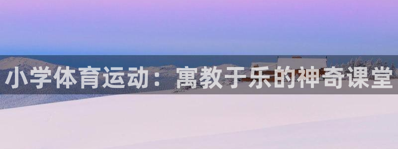 哈哈体育十年