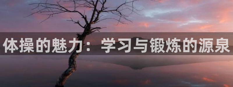 哈哈体育下载
