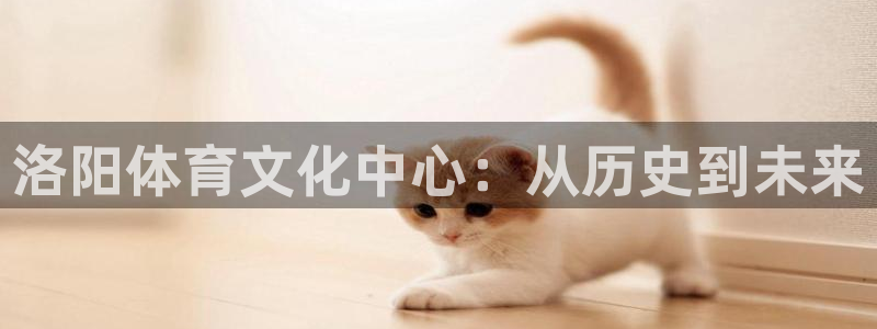 哈哈体育十年
