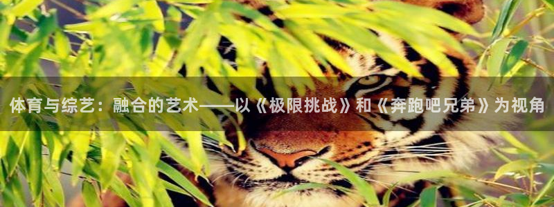 哈哈体育下载