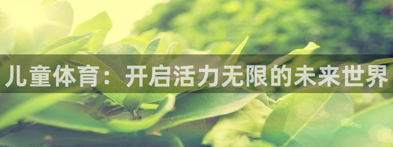 哈哈体育十年