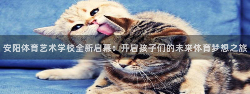 哈哈体育