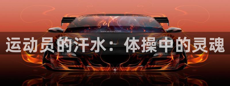 哈哈体育下载